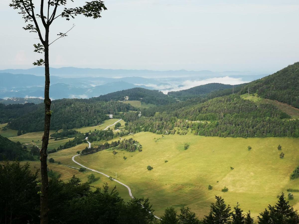 Kopise Lägenhet Zoll Exteriör bild